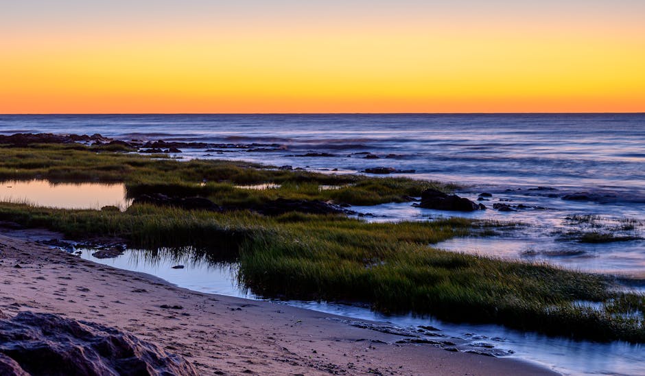 Professional business meeting representing commercial insurance solutions