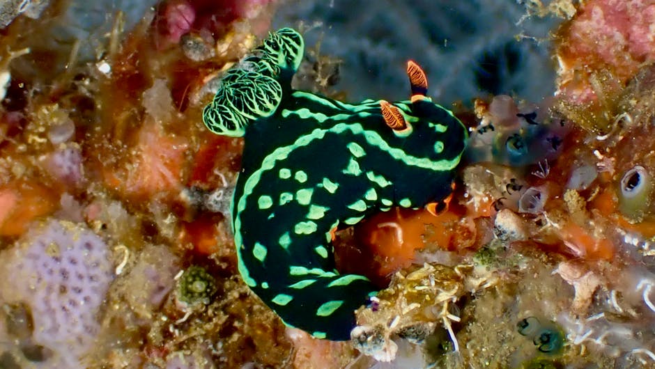 A beautiful residential home representing property insurance protection